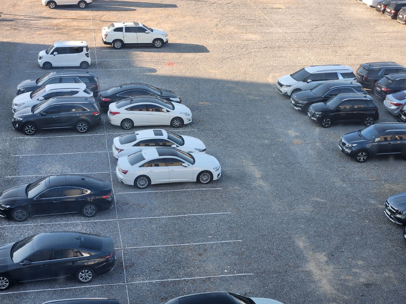 실제 주차장 전경